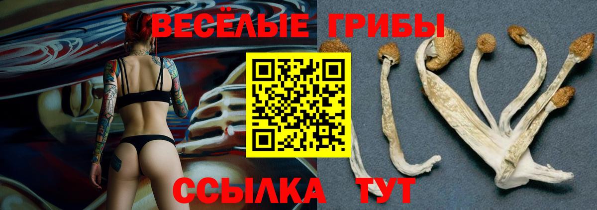 Псилоцибиновые грибы Psilocybine cubensis  Вход с VPN  Екатеринбург 
